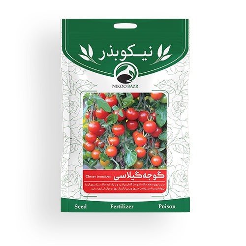 بذر گوجه گیلاسی