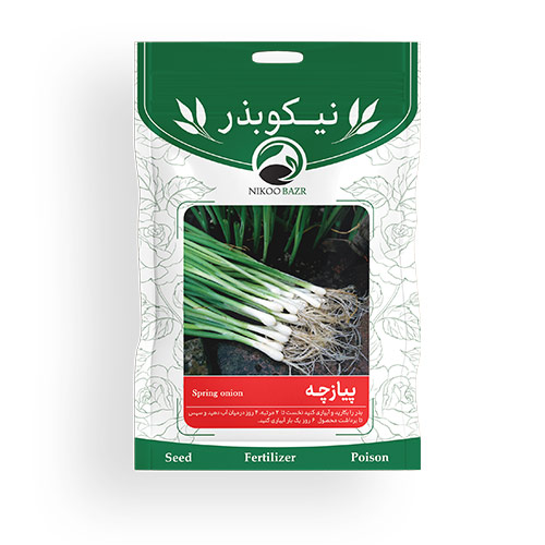 بذر پیازچه