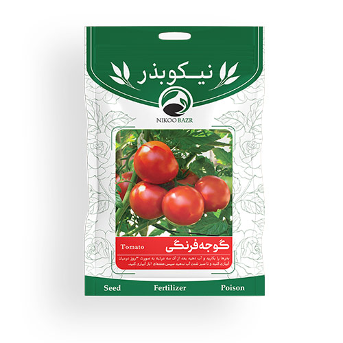 بذر گوجه فرنگی