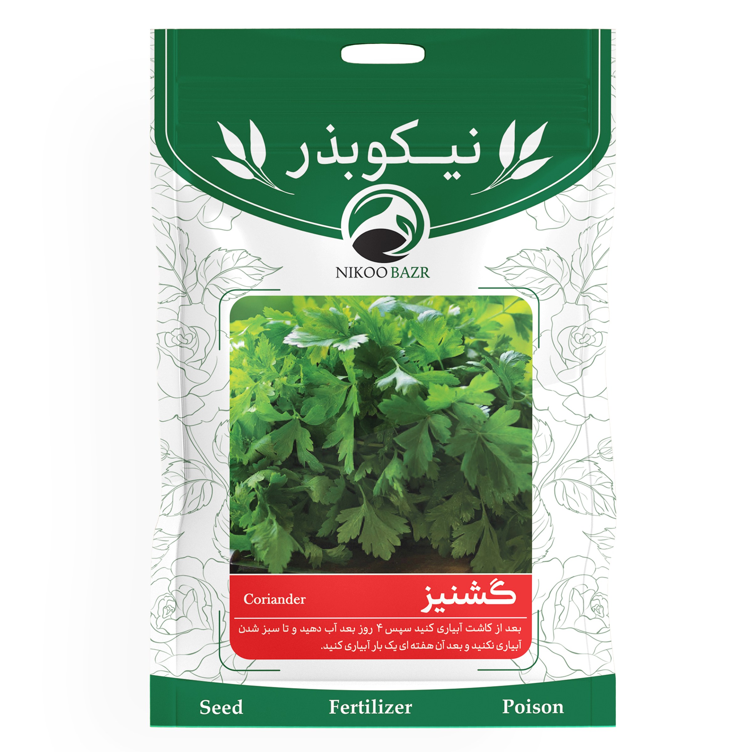 بذر گشنیز
