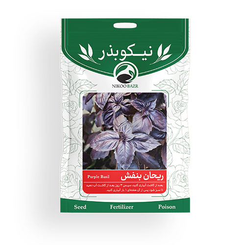 بذر ریحان بنفش
